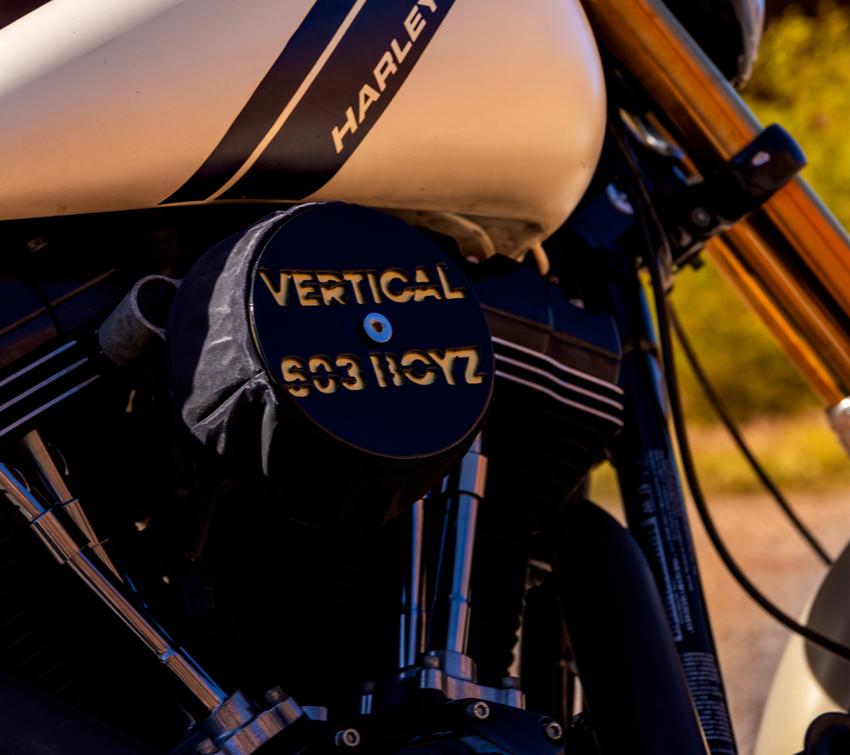 "Vertical 603 Boyz" Air Cleaner Cover
